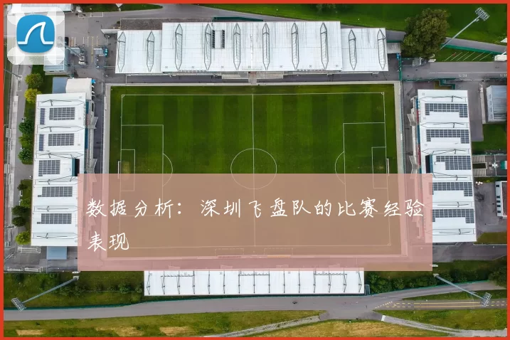 数据分析：深圳飞盘队的比赛经验表现