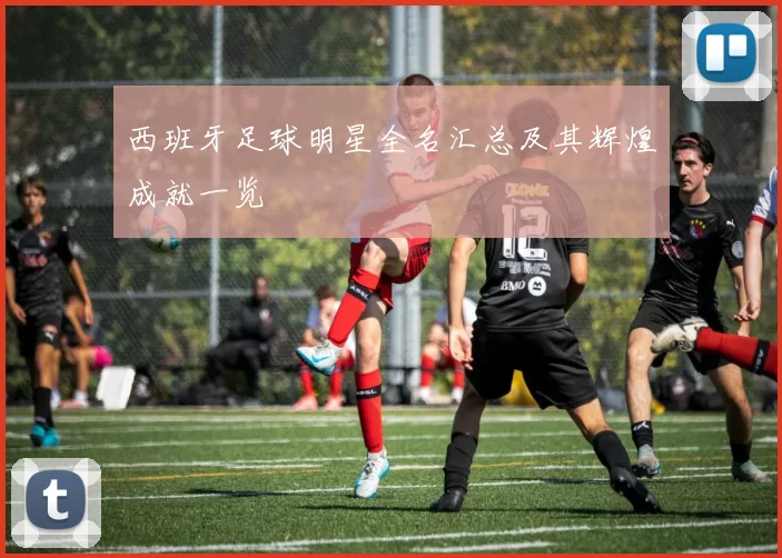 西班牙足球明星全名汇总及其辉煌成就一览