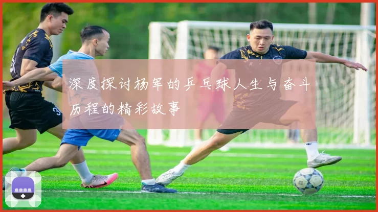 深度探讨杨军的乒乓球人生与奋斗历程的精彩故事