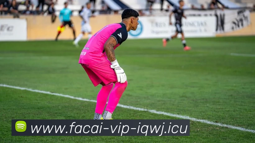 爱游戏体育平台生态图